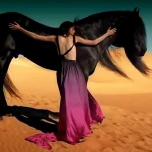 Meet your Posher, Sibo